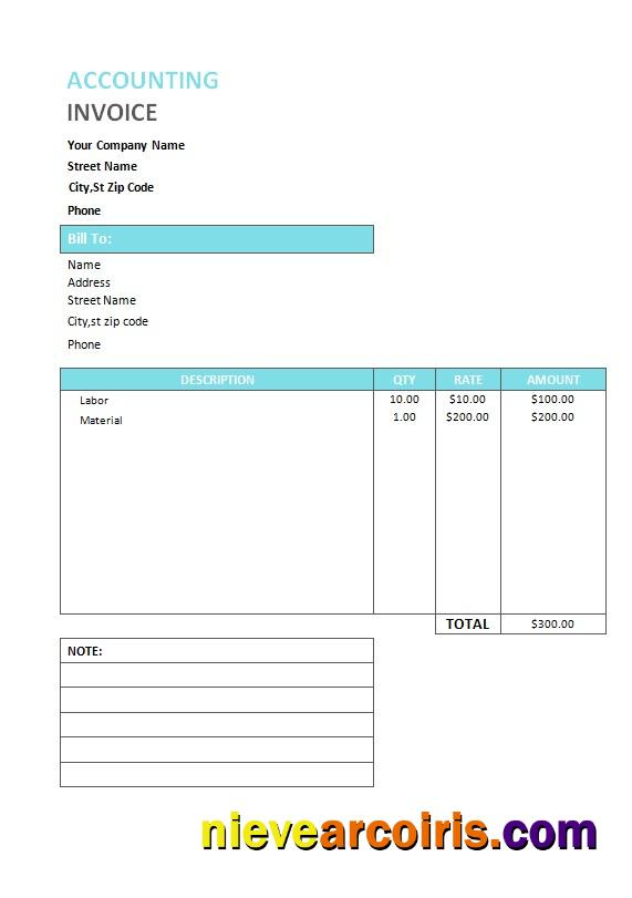 Accounting Service Invoice